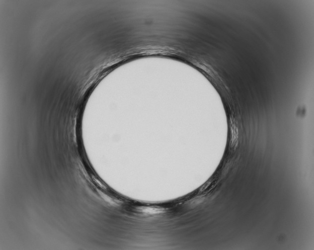 X0000115110207200912081329