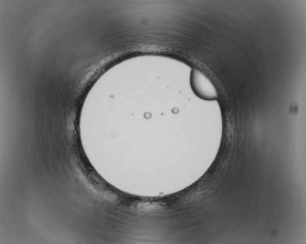 X0000115110208200912081329