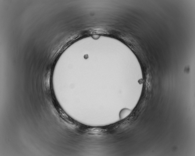 X0000115110210200912081329