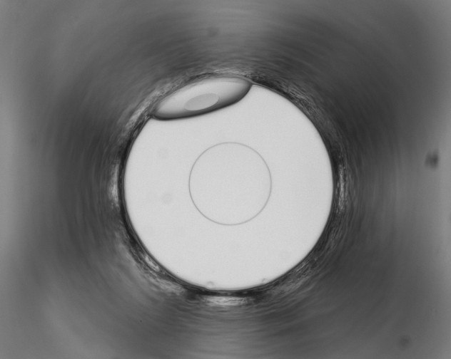 X0000115110212200912081329