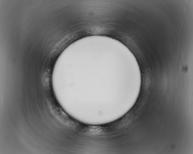 X0000115110214200912081329