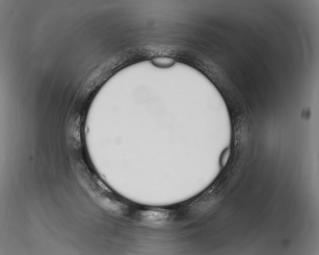 X0000115110215200912081329