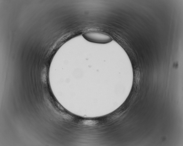 X0000115110216200912081329