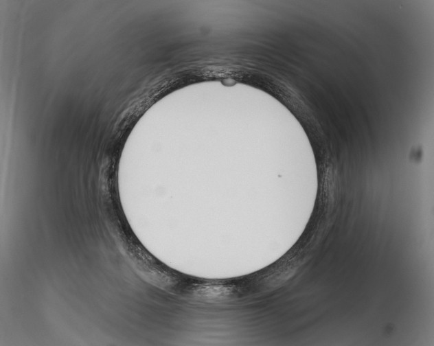 X0000115110217200912081329