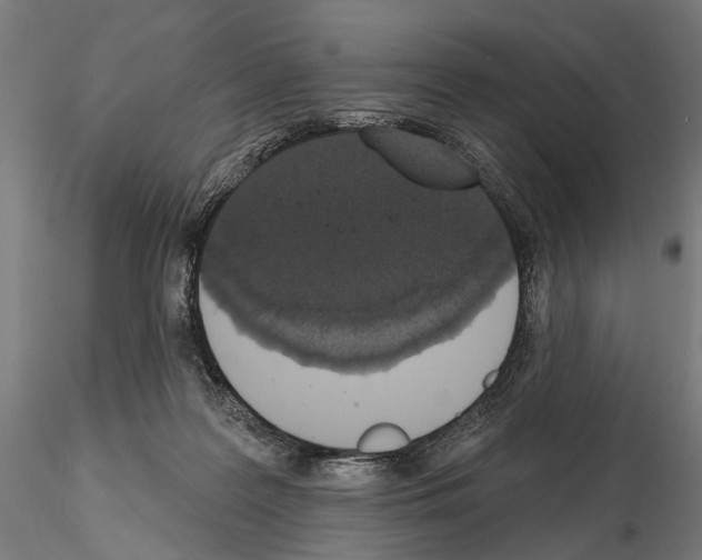 X0000115110219200912081328