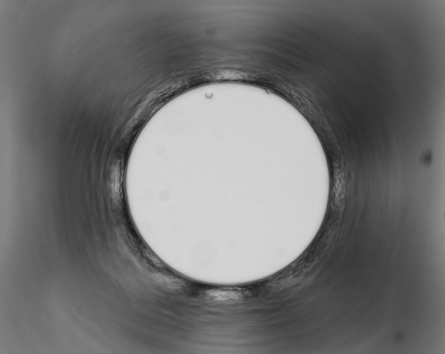 X0000115110220200912081328