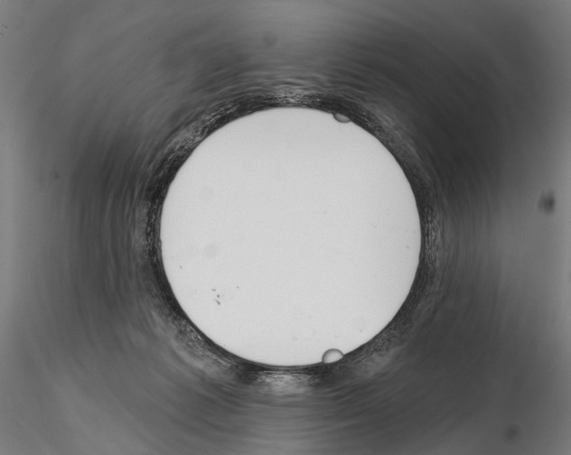 X0000115110221200912081328