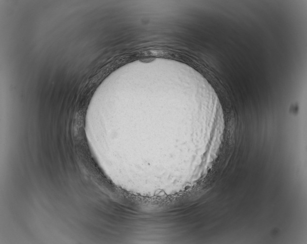 X0000115110222200912081328