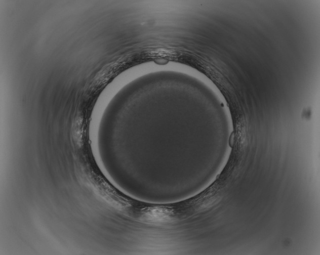 X0000115110223200912081328