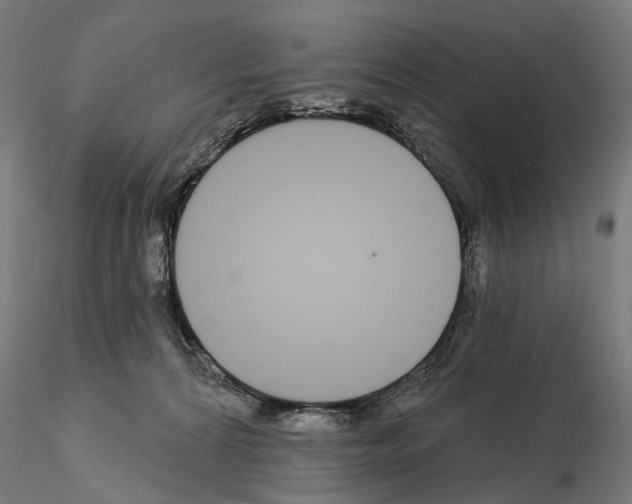 X0000115110224200912081328