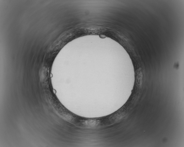 X0000115110225200912081328