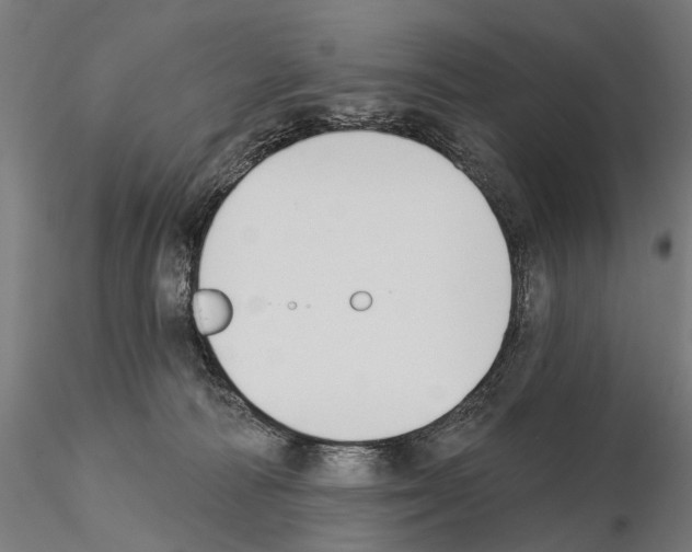 X0000115110226200912081328