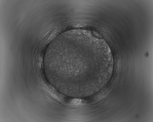 X0000115110227200912081328