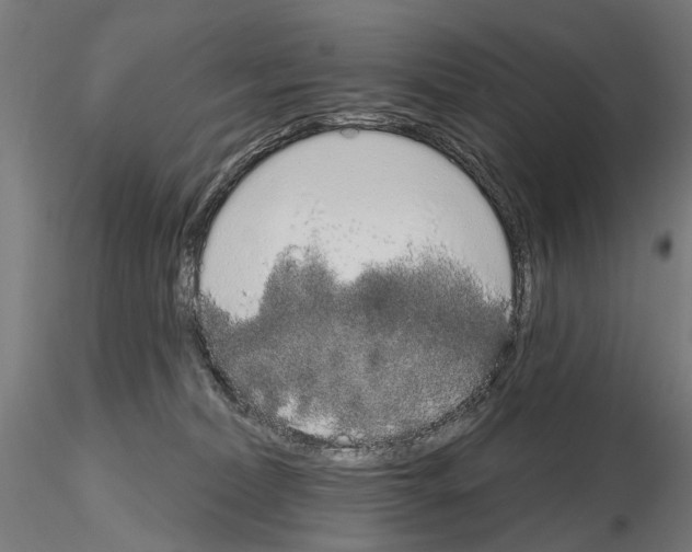 X0000115110228200912081328