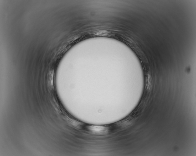 X0000115110230200912081328