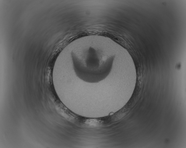 X0000115110231200912081328