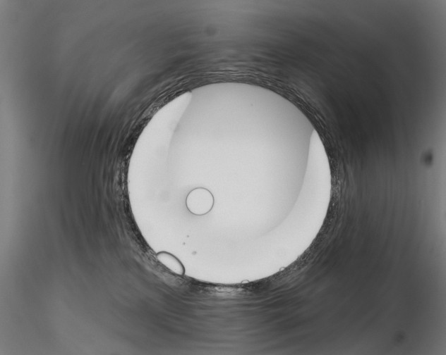 X0000115110233200912081328