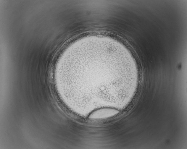 X0000115110236200912081328