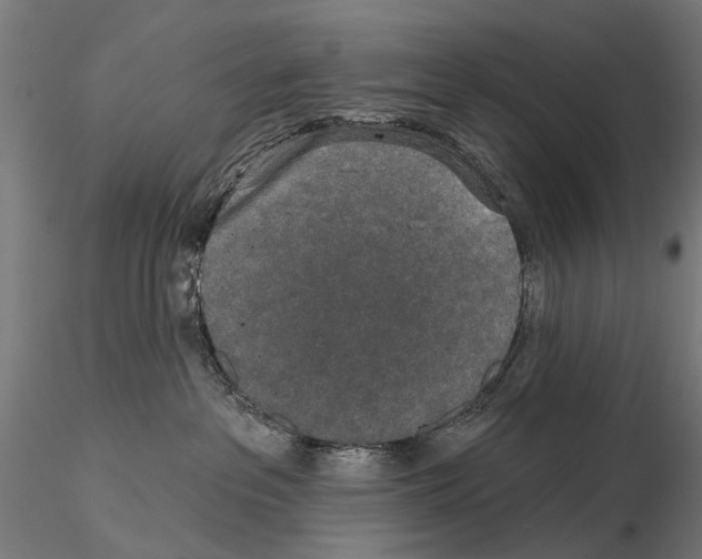 X0000115110237200912081328