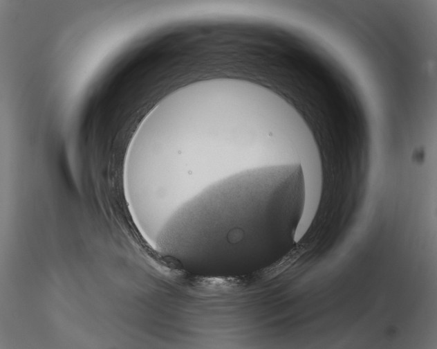 X0000115110239200912081328