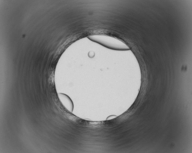 X0000115110240200912081328