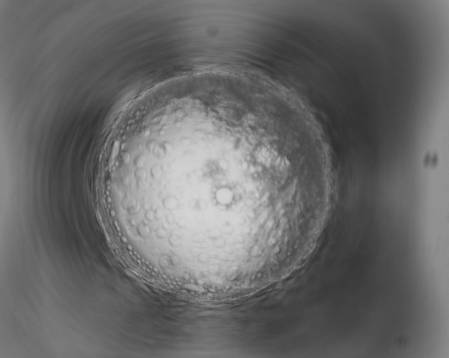 X0000115110241200912081328