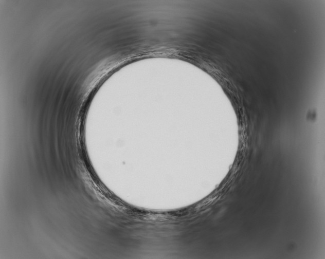 X0000115110242200912081328