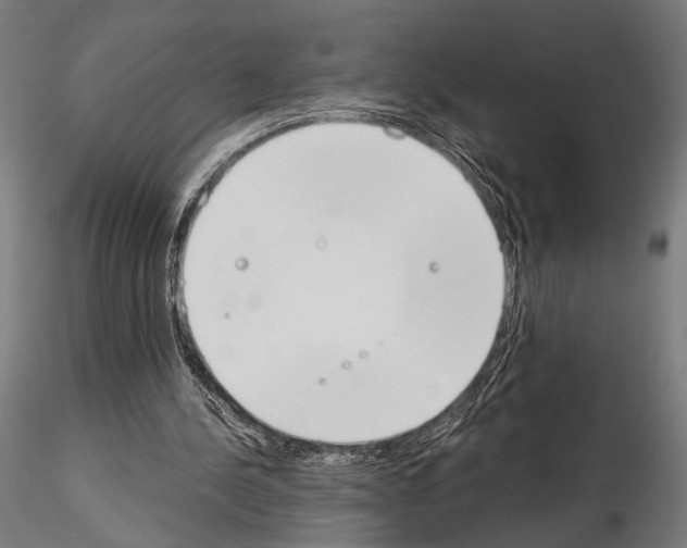 X0000115110244200912081328