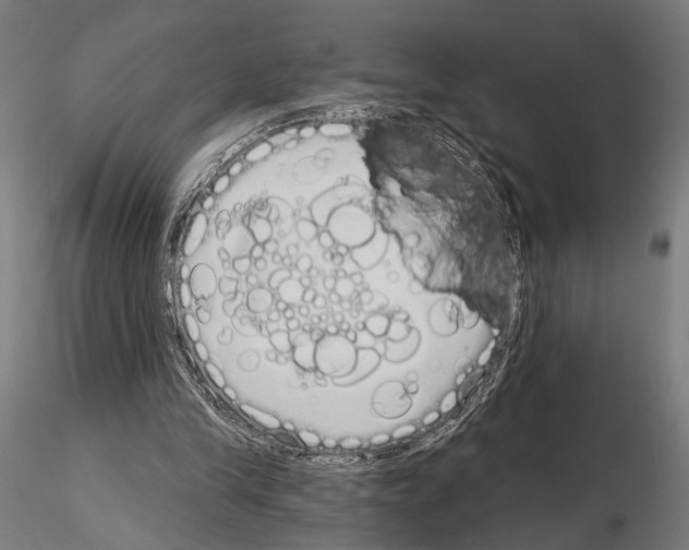 X0000115110245200912081328