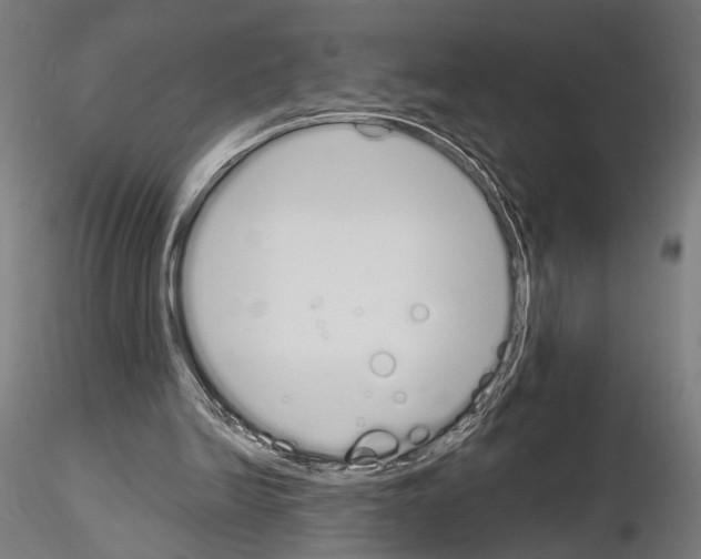 X0000115110246200912081328