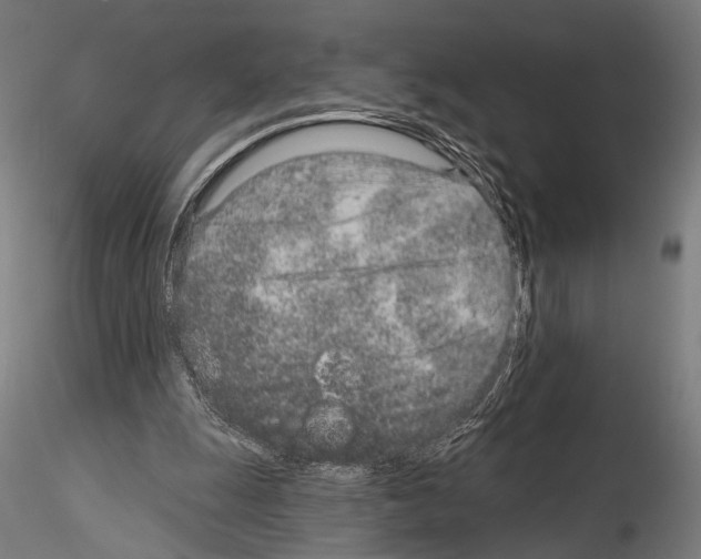 X0000115110247200912081328