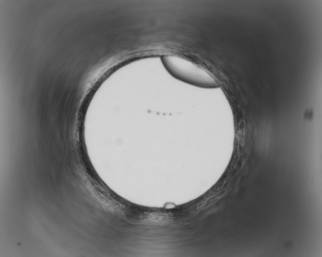 X0000115110248200912081328