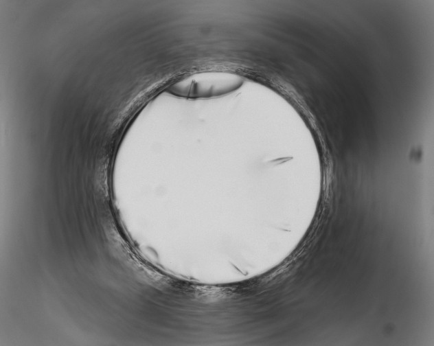 X0000115110249200912081328