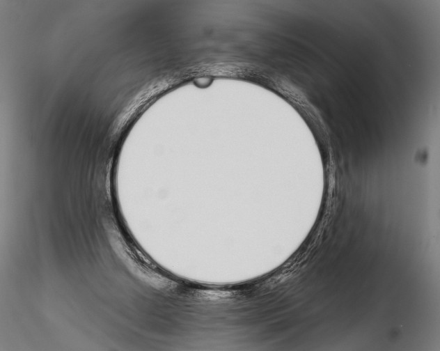 X0000115110250200912081328