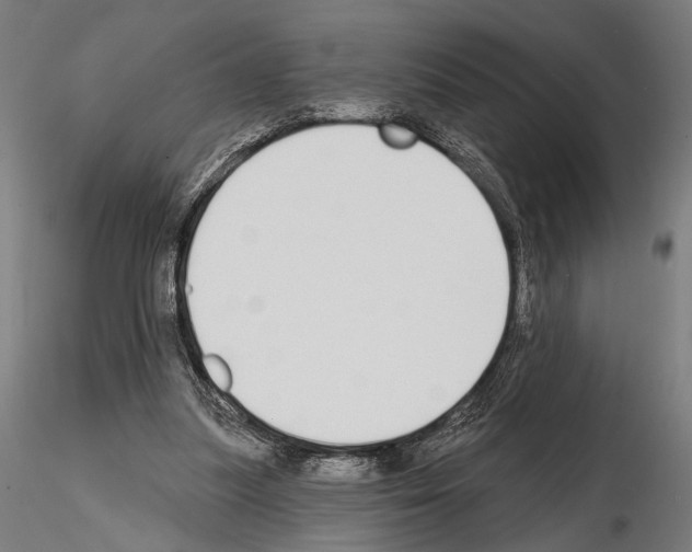 X0000115110251200912081328