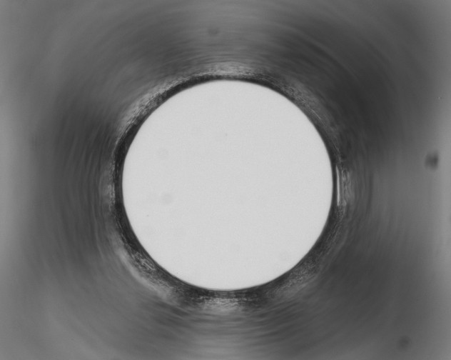 X0000115110252200912081328