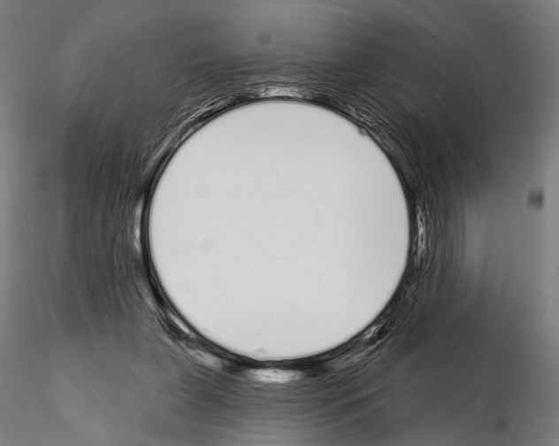 X0000115110255200912081328