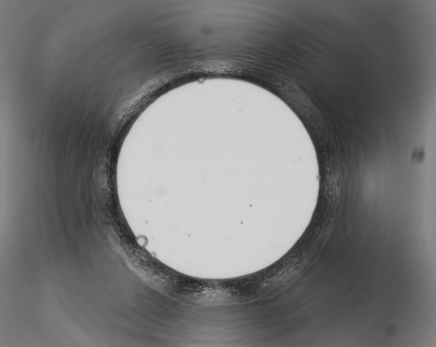 X0000115110256200912081328