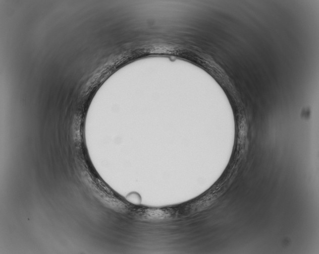 X0000115110257200912081328