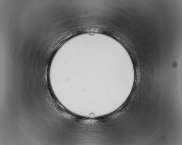 X0000115110258200912081328