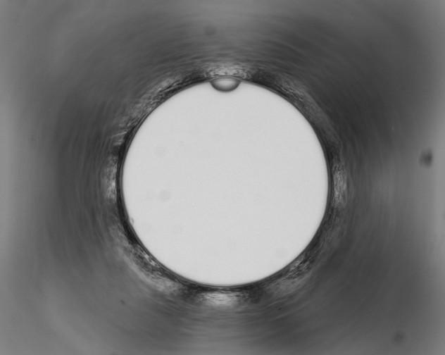 X0000115110259200912081328