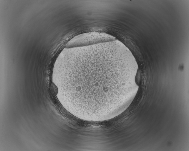 X0000115110260200912081328