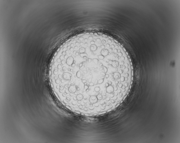 X0000115110261200912081328