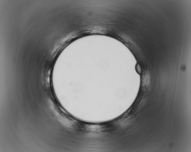 X0000115110264200912081328