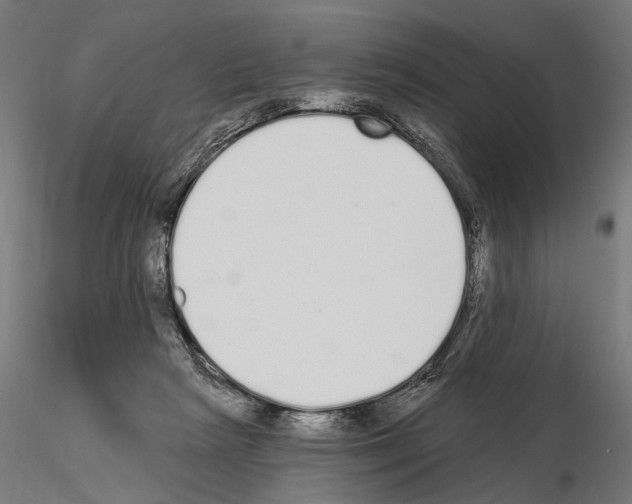 X0000115110265200912081328