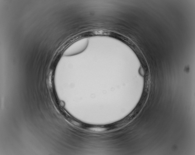 X0000115110266200912081328