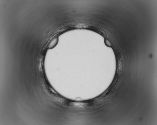 X0000115110268200912081328