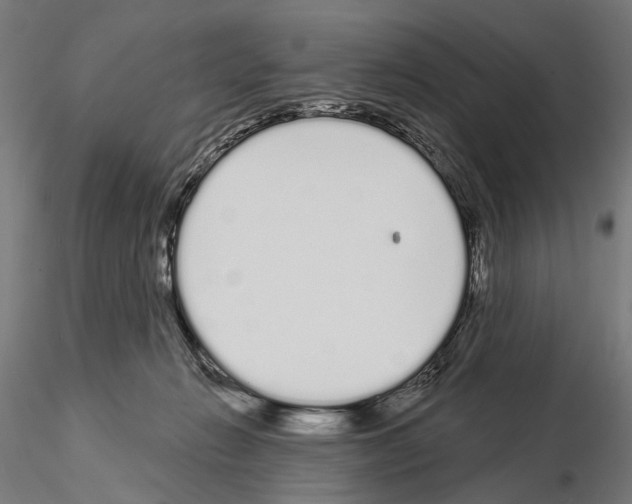 X0000115110270200912081328