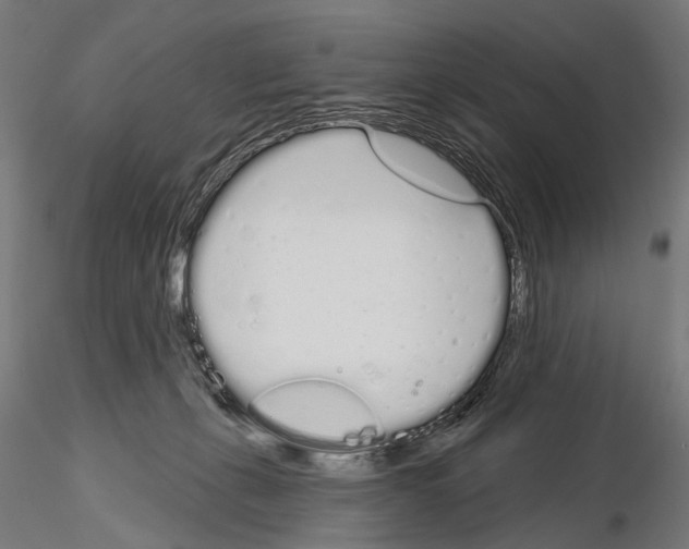 X0000115110271200912081328