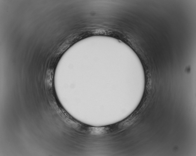 X0000115110273200912081328